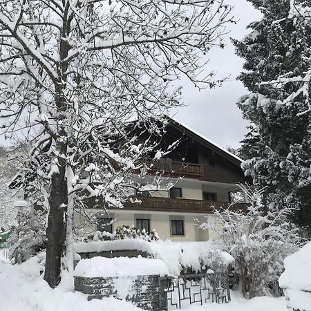 Amadee Appartements Bad Kleinkirchheim Ngoại thất bức ảnh